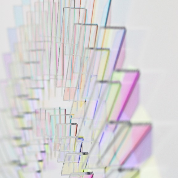 Chris Wood: Allium image 5