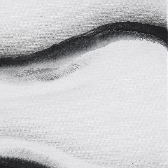 Nichole McDaniel: Shades of Black and White 1 image 5