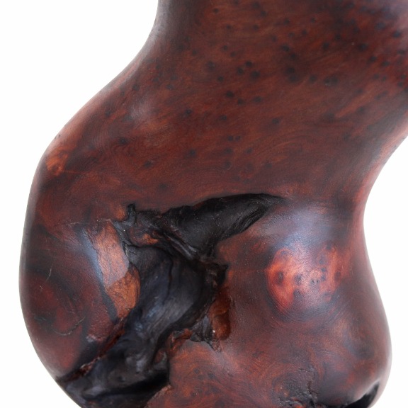 Joe Garnero: Metamorphosis II image 5