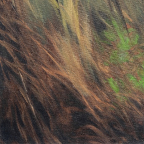 Amber Young: The Back Field 2 image 5