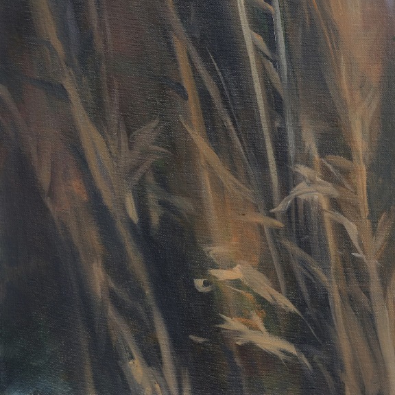 Amber Young: Golden Rod 1 image 5