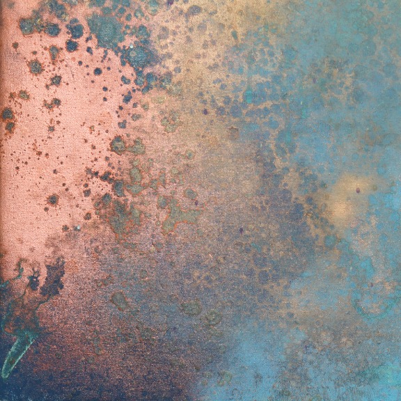 Charlotte Elizabeth: The Light image 5