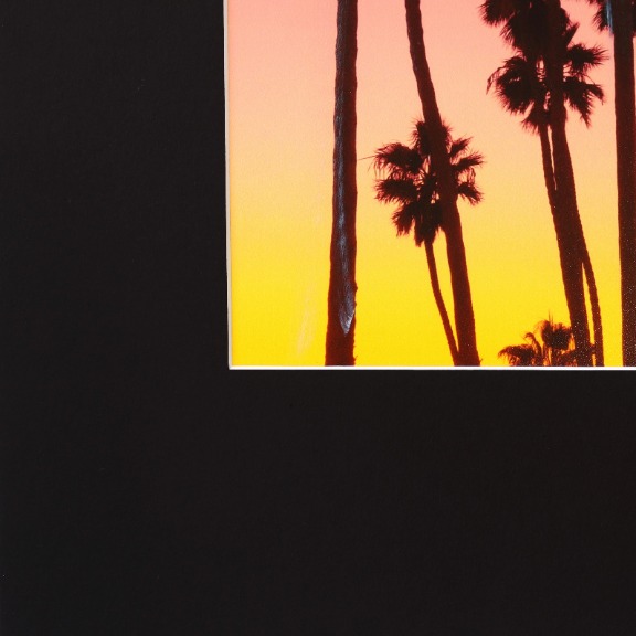 Pete Kasprzak: Santa Barbara Grouped Palms I image 5