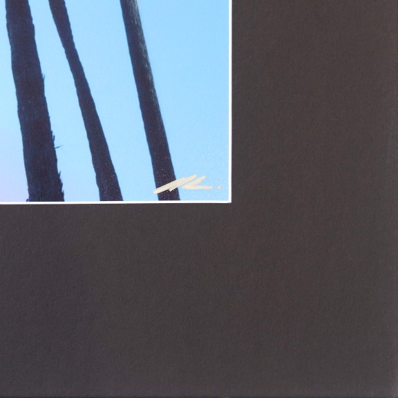Pete Kasprzak: Santa Barbara Sky High Palms I image 5