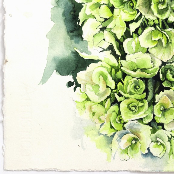 Anna Kudriashova: Green and White Hydrangeas image 5