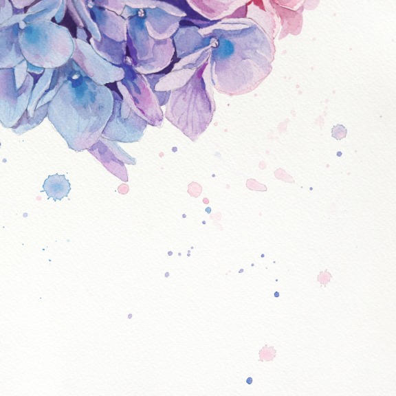 Anna Kudriashova: Pink Cloud Hydrangeas image 5