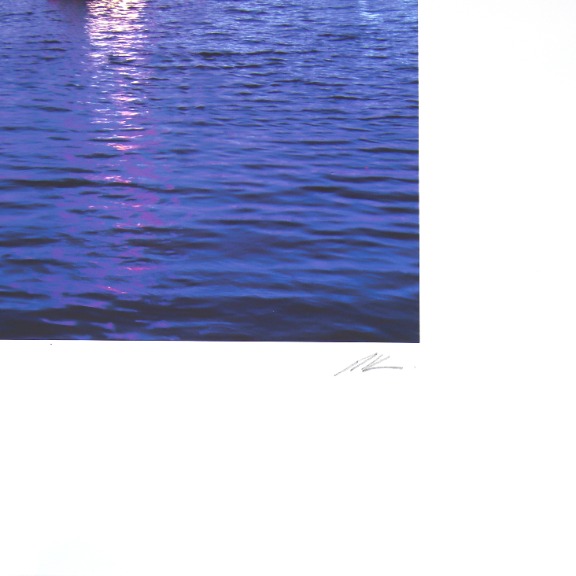 Pete Kasprzak: Echo Park Swans image 5