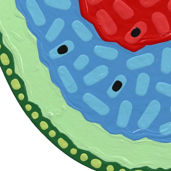 Will Beger: Rainbow Mini Slice image 5