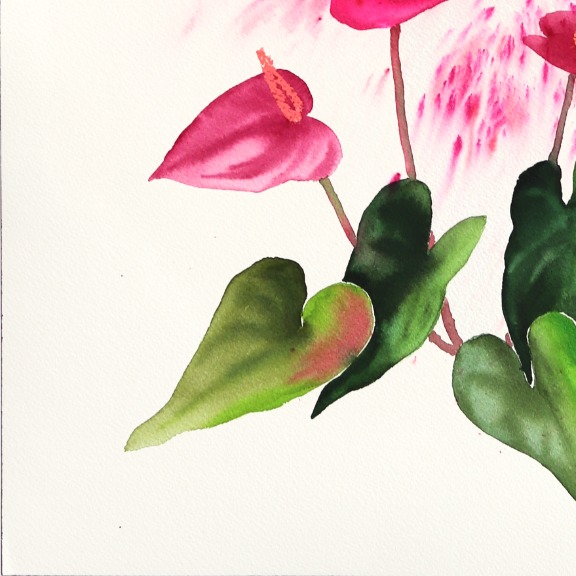 Xiao Wen Xu: Flamingo Lily image 5