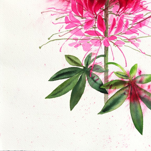 Xiao Wen Xu: Spider Flower image 5