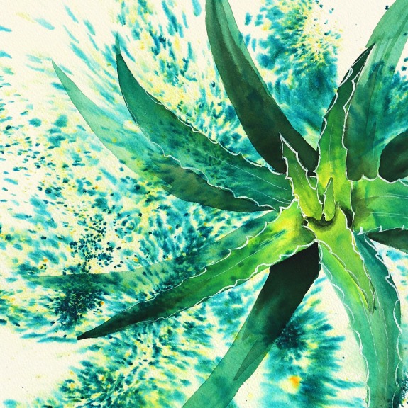 Xiao Wen Xu: Aloe Vera image 5