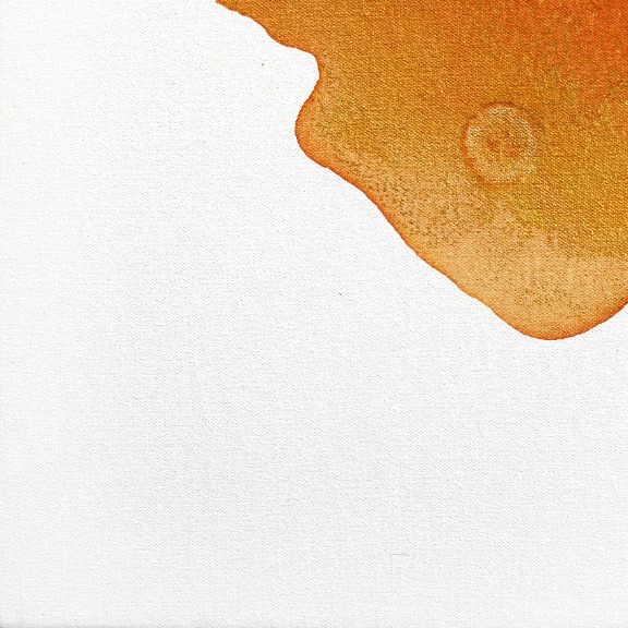 Clara Berta: Sun Kissed Earth image 5