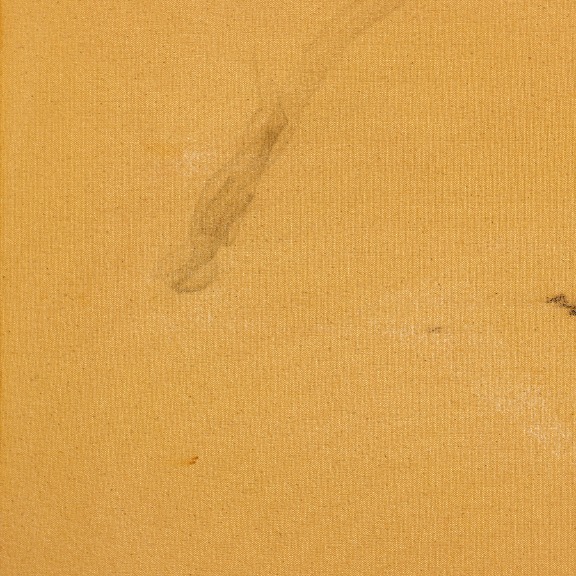 Taylour Martin: I Contain Multitudes image 5