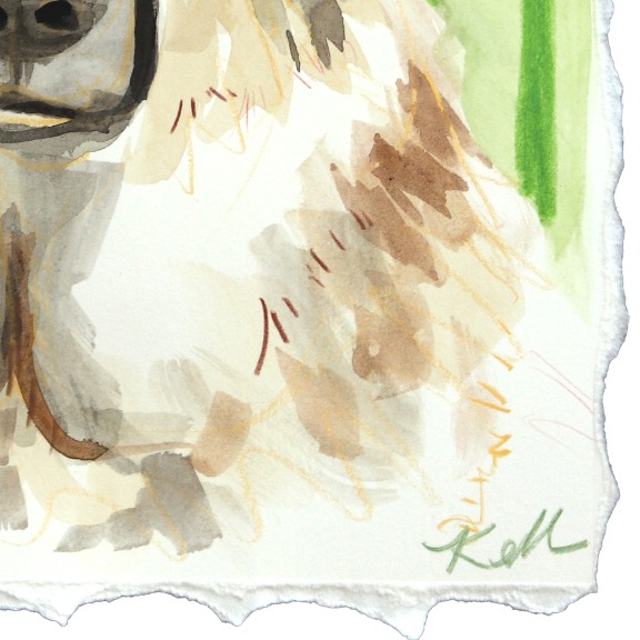 Kellie Newsome: Loyal Shepherd image 5