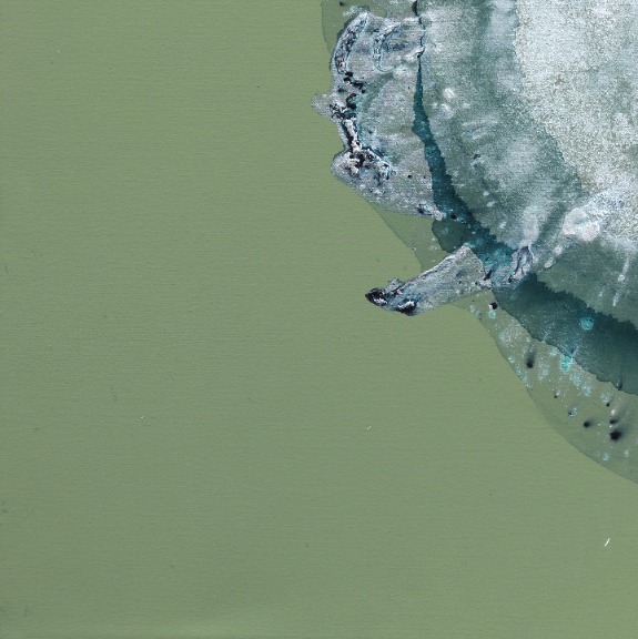 Clara Berta: Glaciers image 5