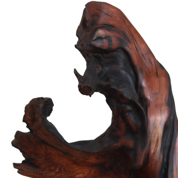 Joe Garnero: Deep Roots image 5