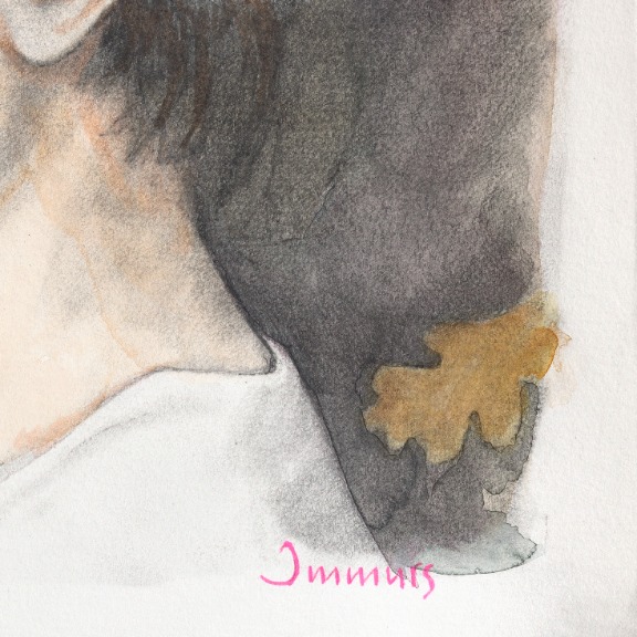 Amanda Immurs: I Said I Understand But I Didn't image 5