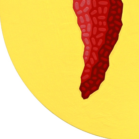 Will Beger: Circle Fresnos image 5