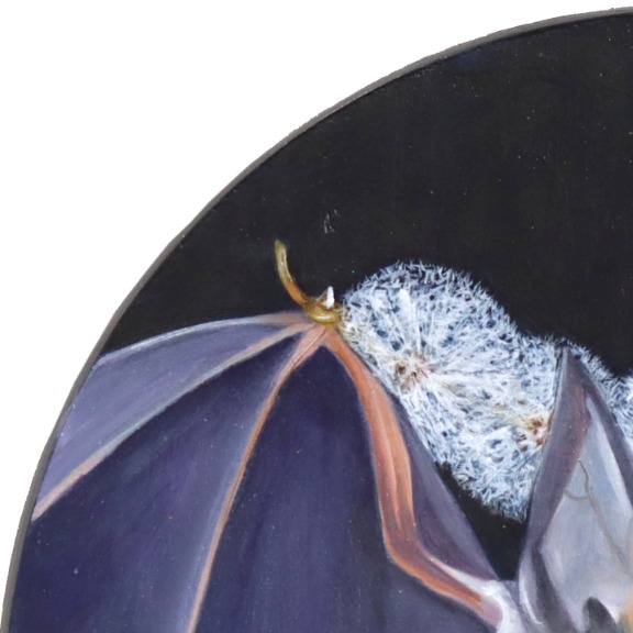 JJ Galloway: Dandelion Bat image 5