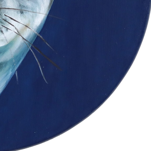 JJ Galloway: A Brackish Delight image 5