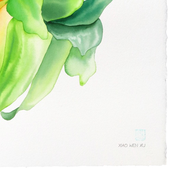 Xiao Wen Xu: Rainbowland Chrysanthemum II image 5