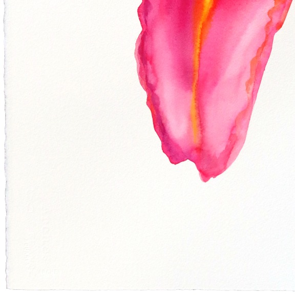 Xiao Wen Xu: Rainbowland Daylily image 5
