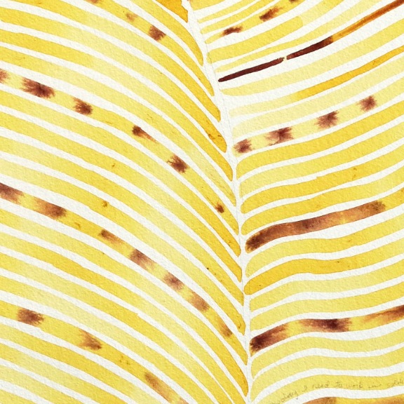 Heidi Lowell: Vietnam Pigment Study: Gardenia Fruit + Iron Oxide image 5