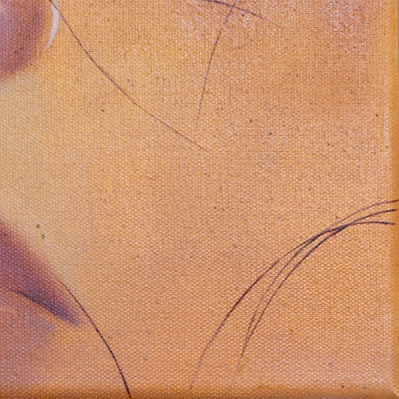 Xenia Gray: Dusky image 5