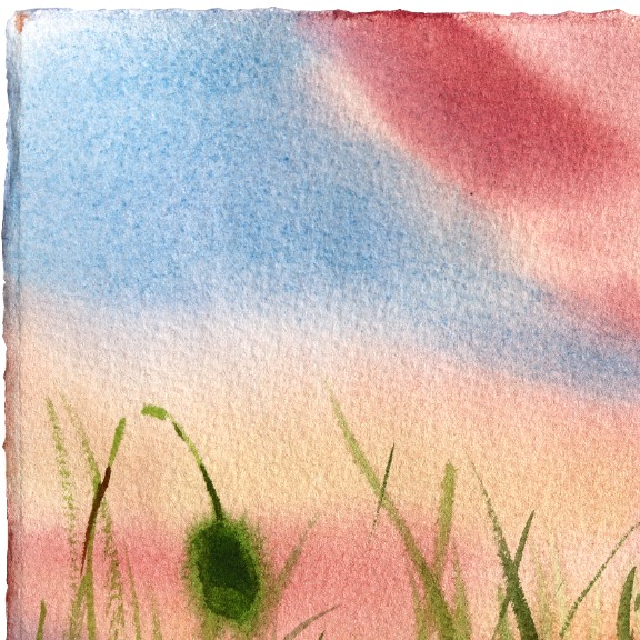 Anna Kudriashova: Poppies 2 image 5