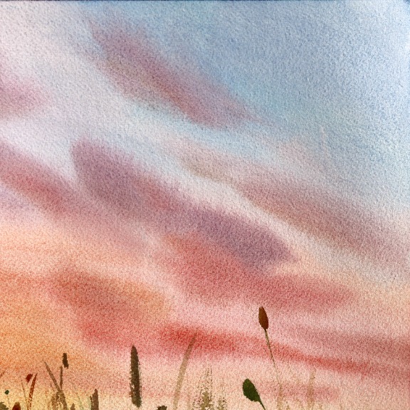 Anna Kudriashova: Sunset Daisies image 5