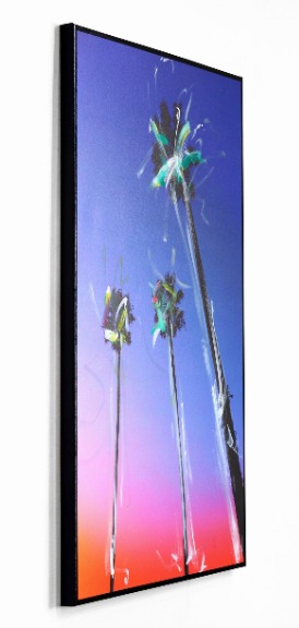 Pete Kasprzak: Santa Barbara 3 Palms image 6