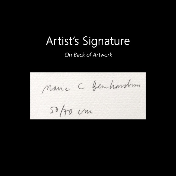 Maria C Bernhardsson: Melrose Animal House image 6