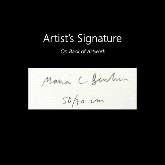 Maria C Bernhardsson: Melrose Green House image 6