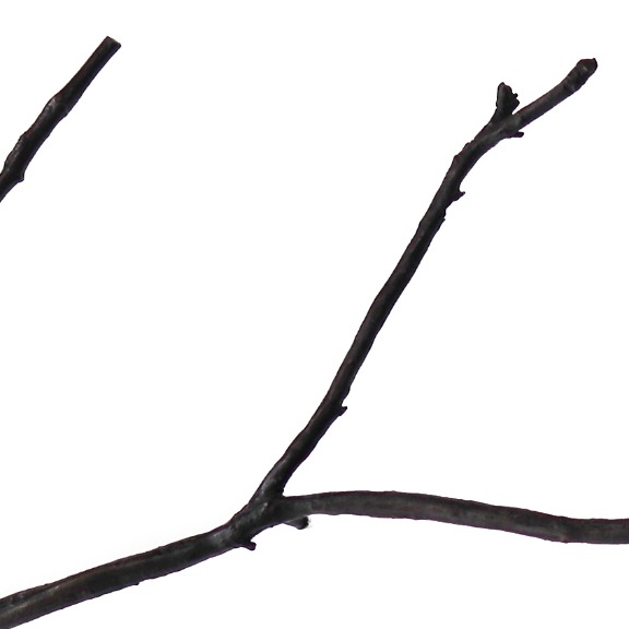Jennyfer Stratman: Graft EH8 image 6