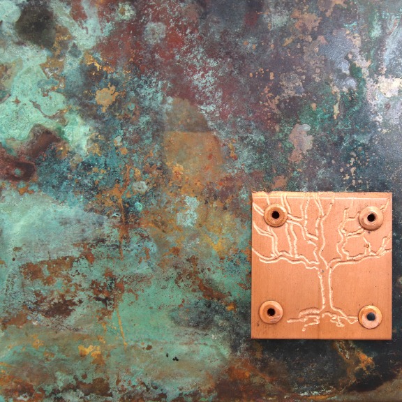 Jennyfer Stratman: Growing in a Fragmented Landscape image 6