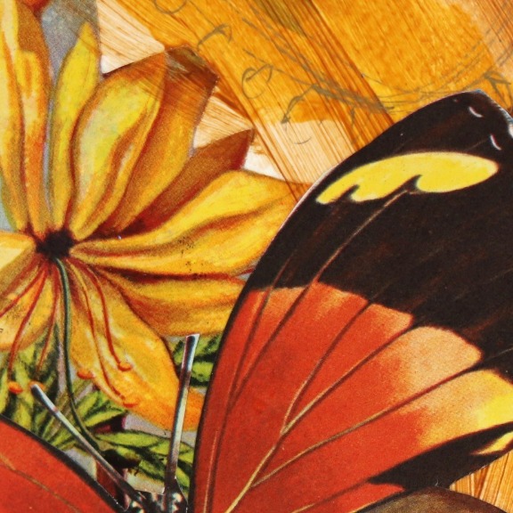 Lindsey McCord: Butterfly Bombshell 2 image 6