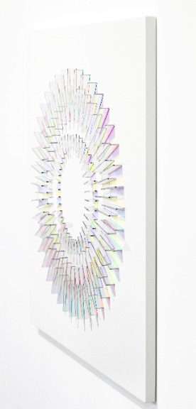 Chris Wood: Allium image 6