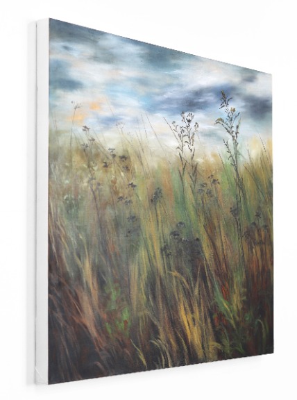 Amber Young: The Back Field 2 image 6