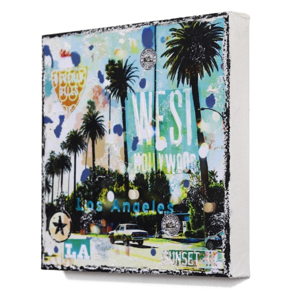 Marion Duschletta: West Hollywood Palms image 6