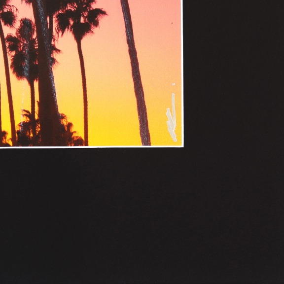 Pete Kasprzak: Santa Barbara Grouped Palms I image 6