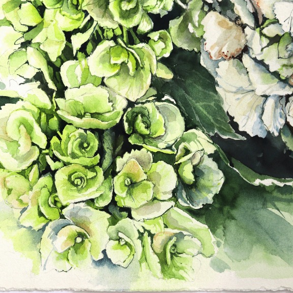 Anna Kudriashova: Green and White Hydrangeas image 6