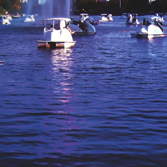 Pete Kasprzak: Echo Park Swans image 6