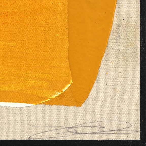 Jason DeMeo: Eternal Sunsets Mini: Golden Echo image 6