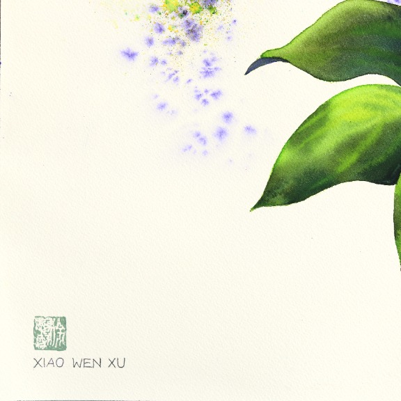 Xiao Wen Xu: Dogwood Flower image 6