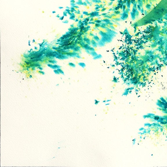 Xiao Wen Xu: Aloe Vera image 6