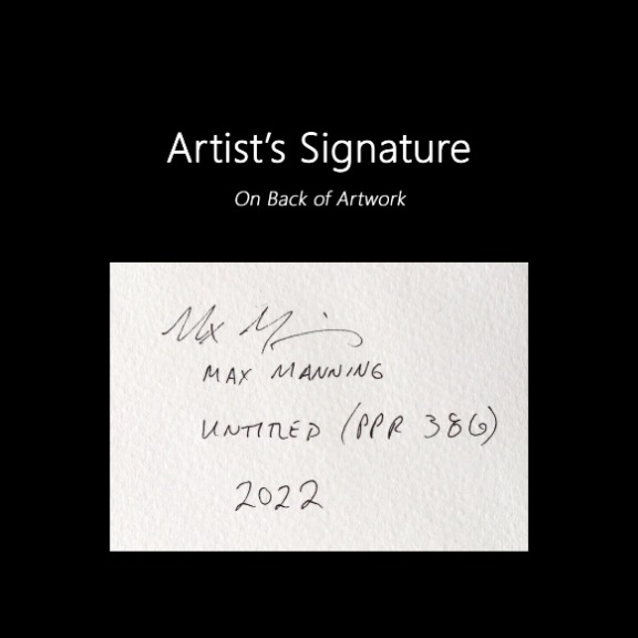 Max Manning: Untitled (PPR386) image 6