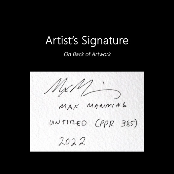 Max Manning: Untitled (PPR385) image 6