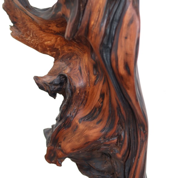 Joe Garnero: Deep Roots image 6
