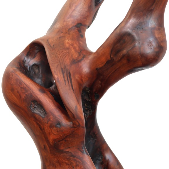 Joe Garnero: Together Bound image 6