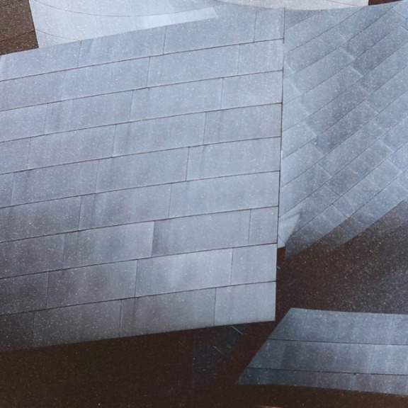Pete Kasprzak: Walt Disney Concert Hall image 6